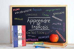 French Teachers Fazeley Staffordshire